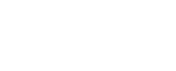 Savoy Palace logo